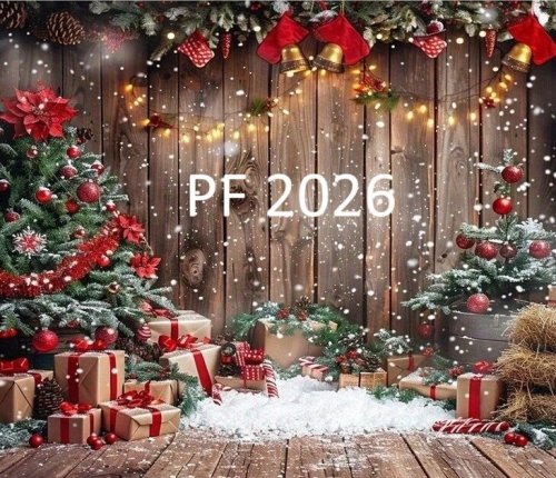 Roční členství 2026 - Basic Plus Play, Vánoční voucher